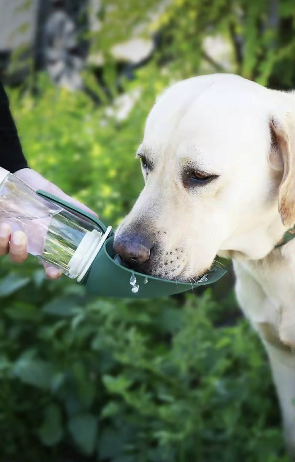 DOGGOSIP – Dé Oplossing voor Hondeneigenaars: Waterfles & Snackhouder  in Één Compact Toestel!