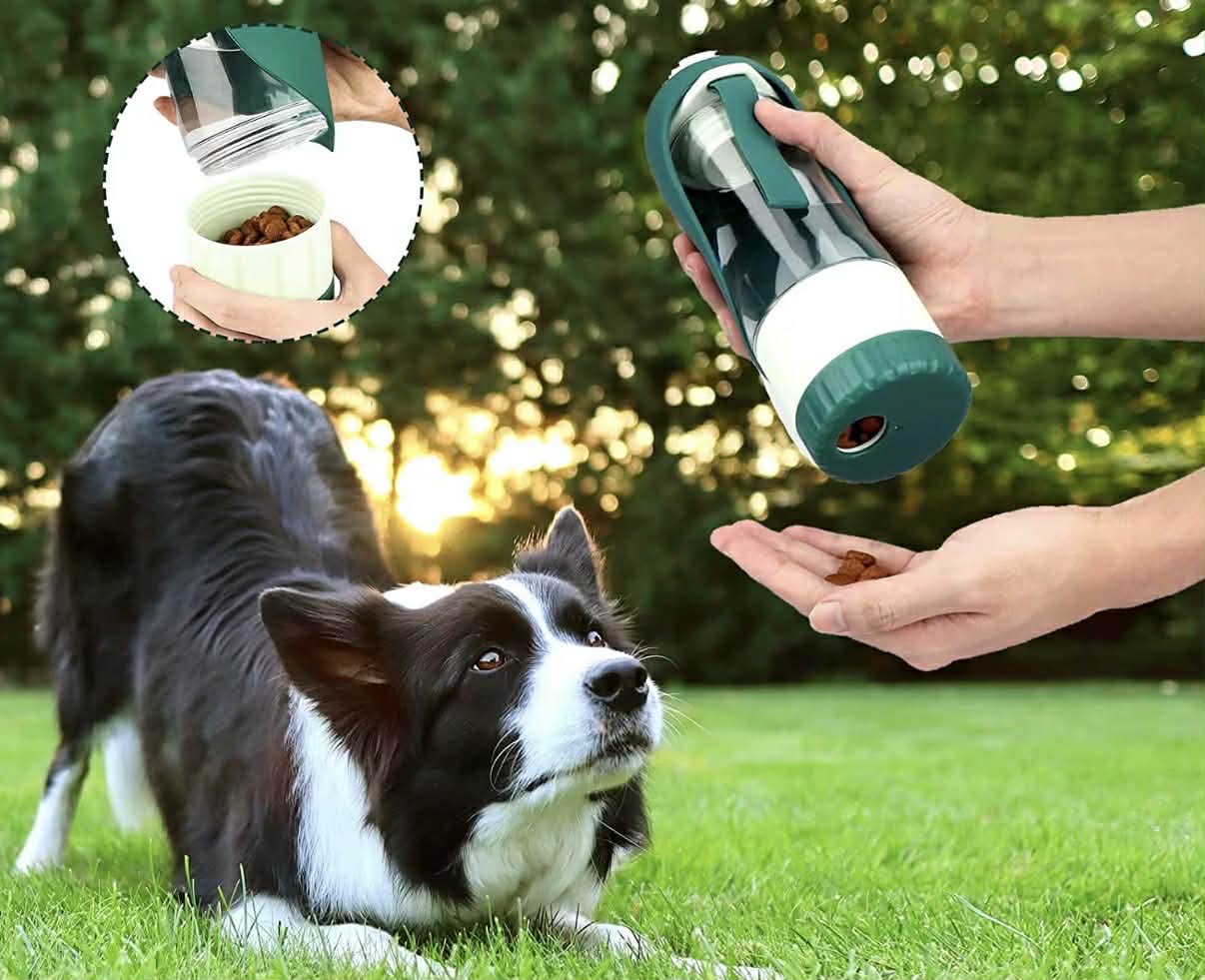DOGGOSIP – Dé Oplossing voor Hondeneigenaars: Waterfles & Snackhouder  in Één Compact Toestel!